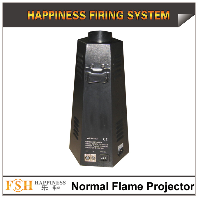 Normal Flame Projector,DMX and direct control,high quality with low price,China supplier